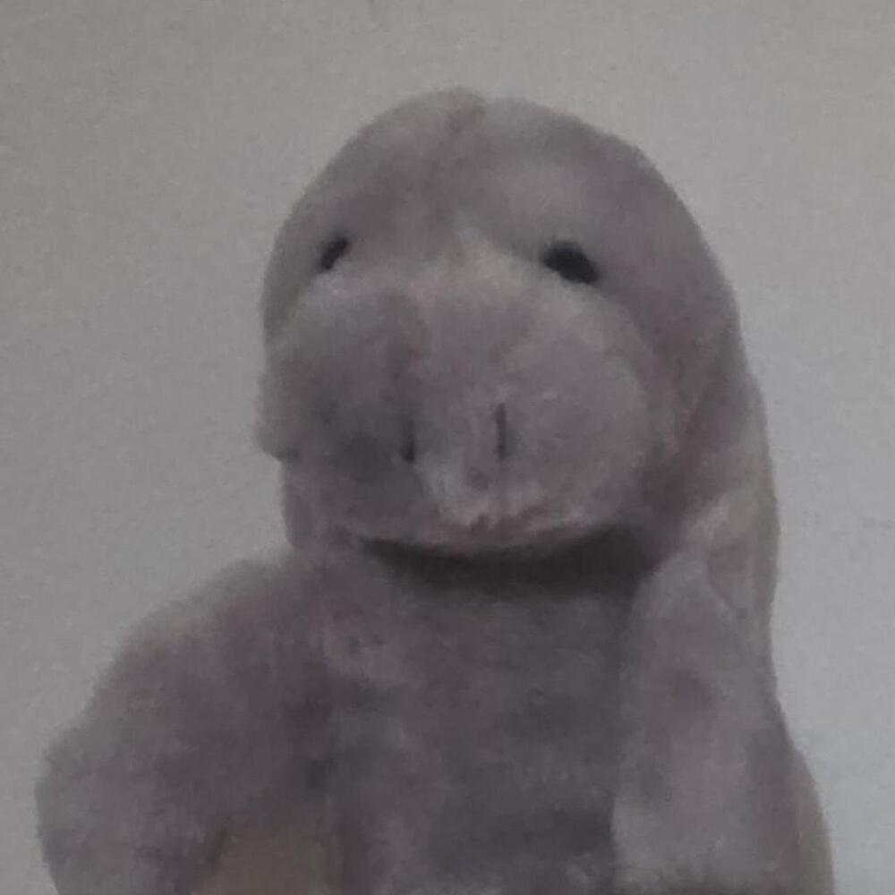 petting zoo Gray plush manatee #manatee #plush